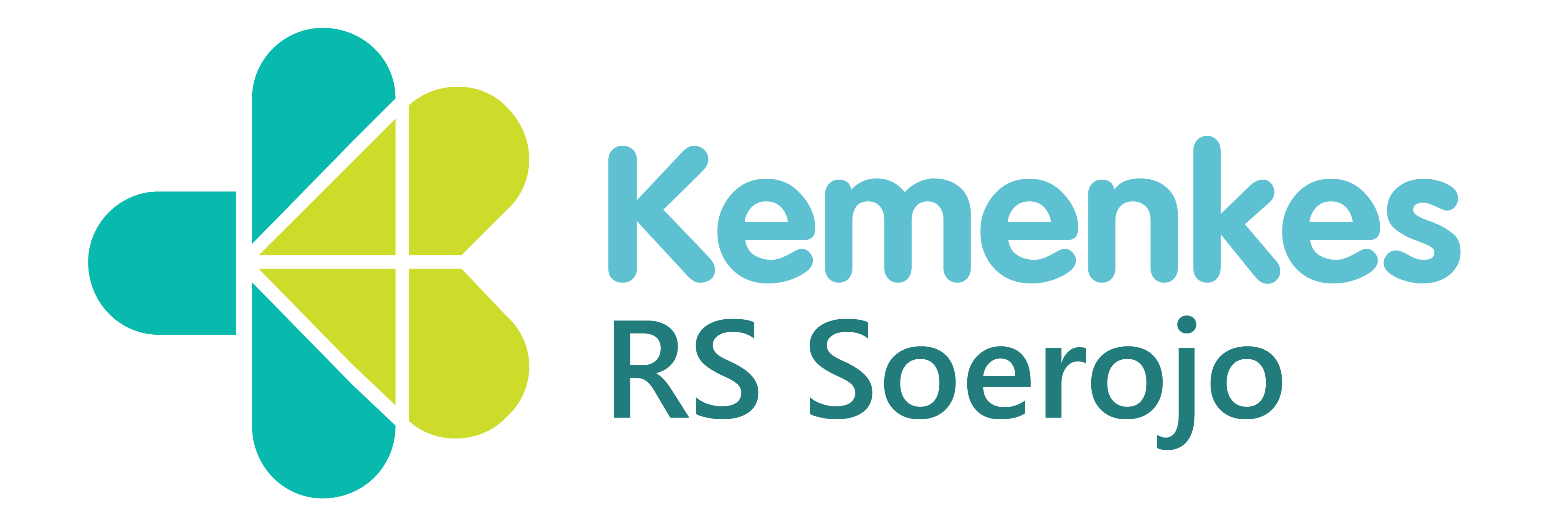 Rumah Sakit Jiwa Prof. Dr. Soerojo Magelang
